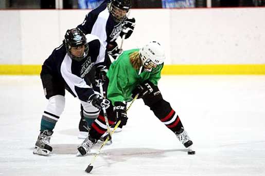 During a Rat Hockey game two players fight for the puckDuring a Rat Hockey game two players fight for the puck