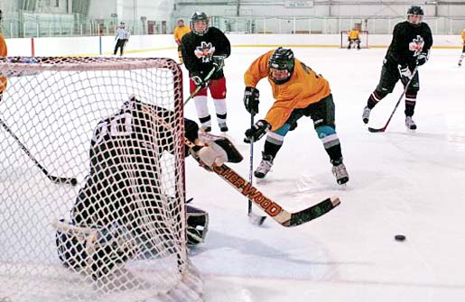 Player attempts a shot at adult hockey lessons.