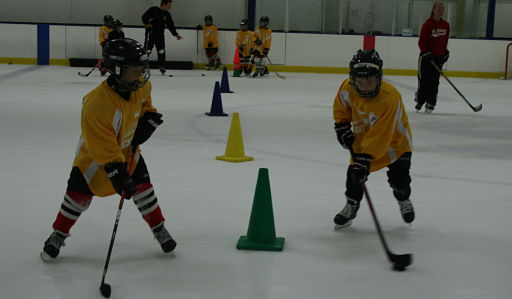 Ice skating rink near Downers Grove - youth hockey practice.