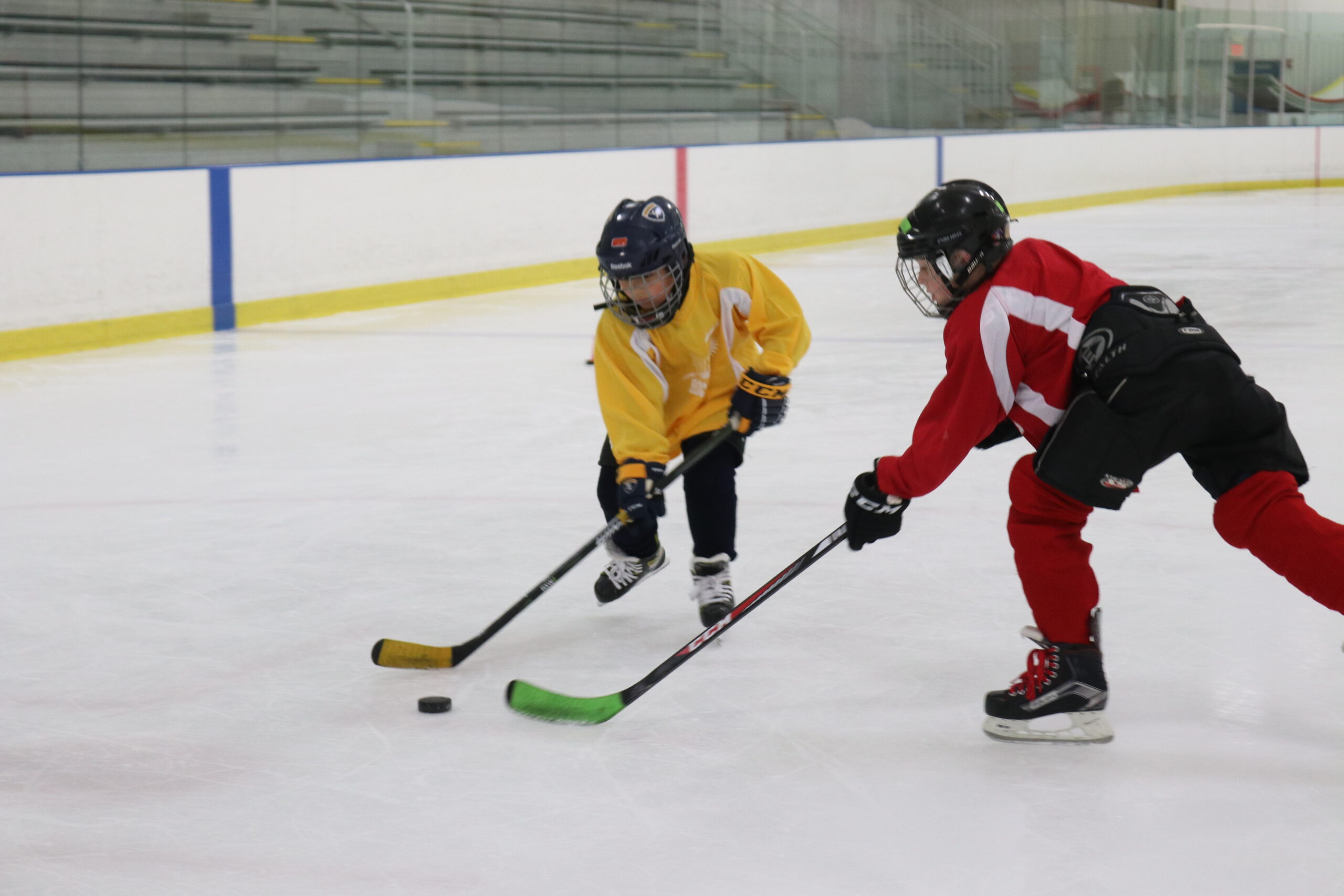 IMG | Rocket Ice Arena | 630-679-1700