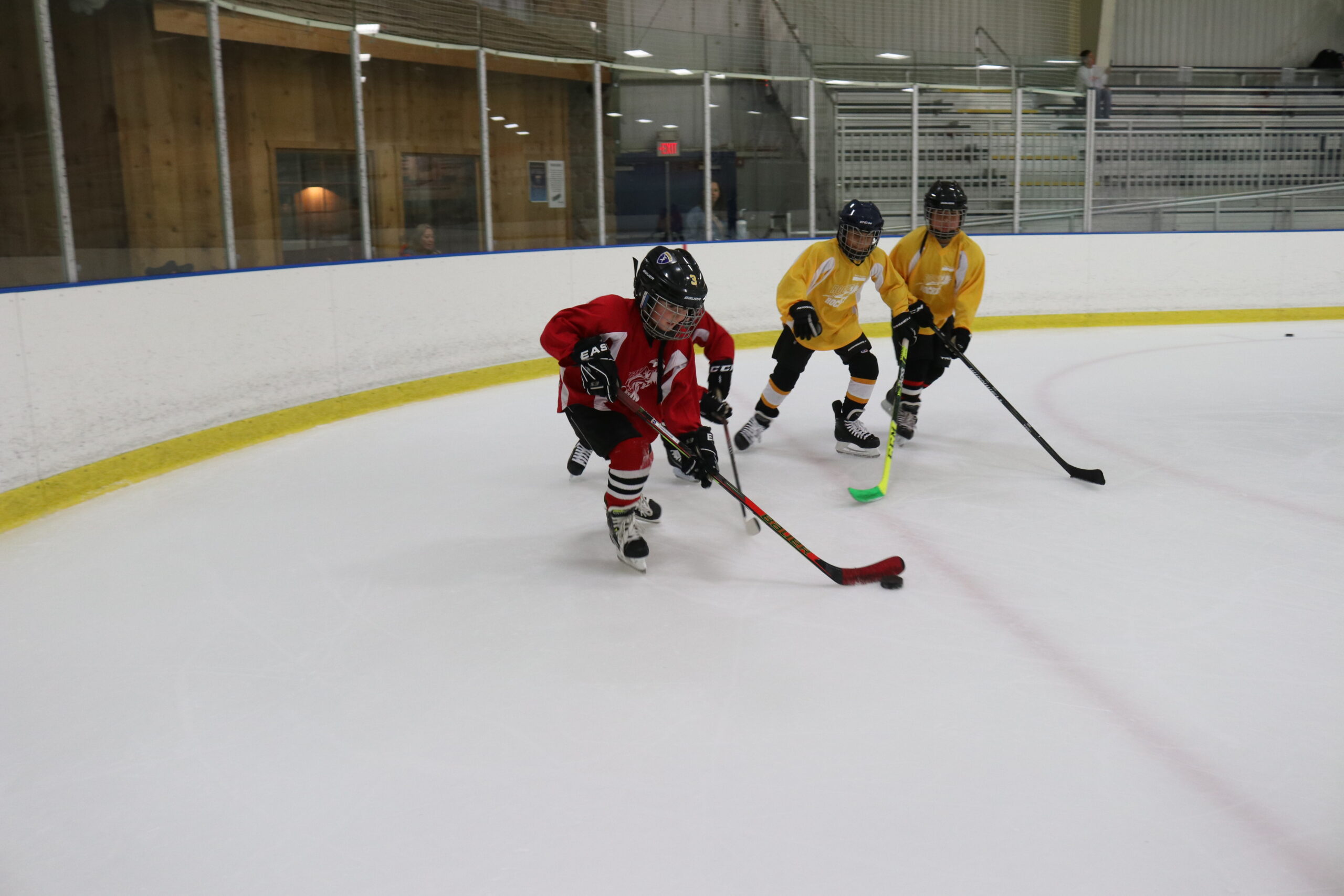 IMG | Rocket Ice Arena | 630-679-1700