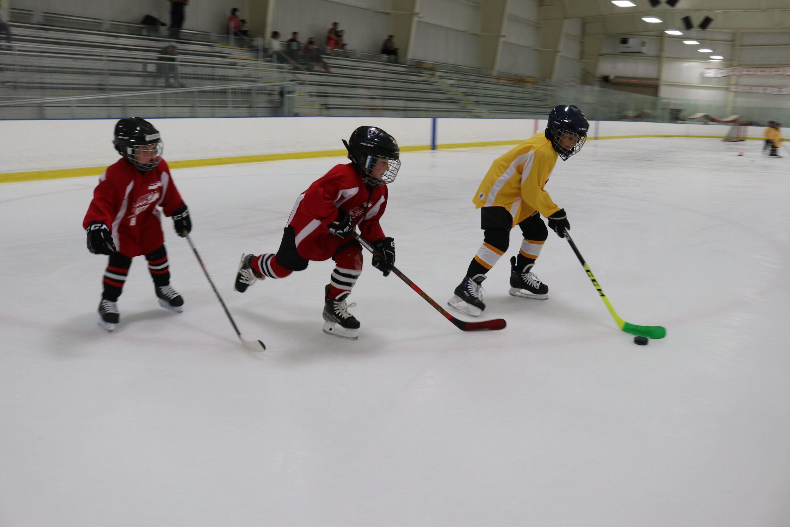 IMG | Rocket Ice Arena | 630-679-1700
