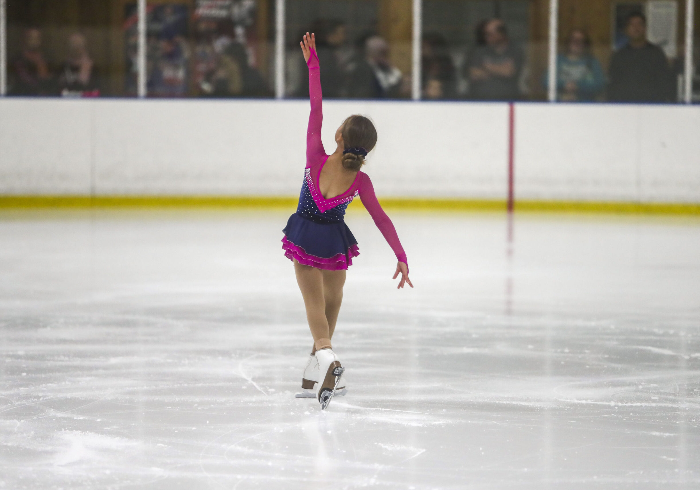 AI | Rocket Ice Arena | 630-679-1700