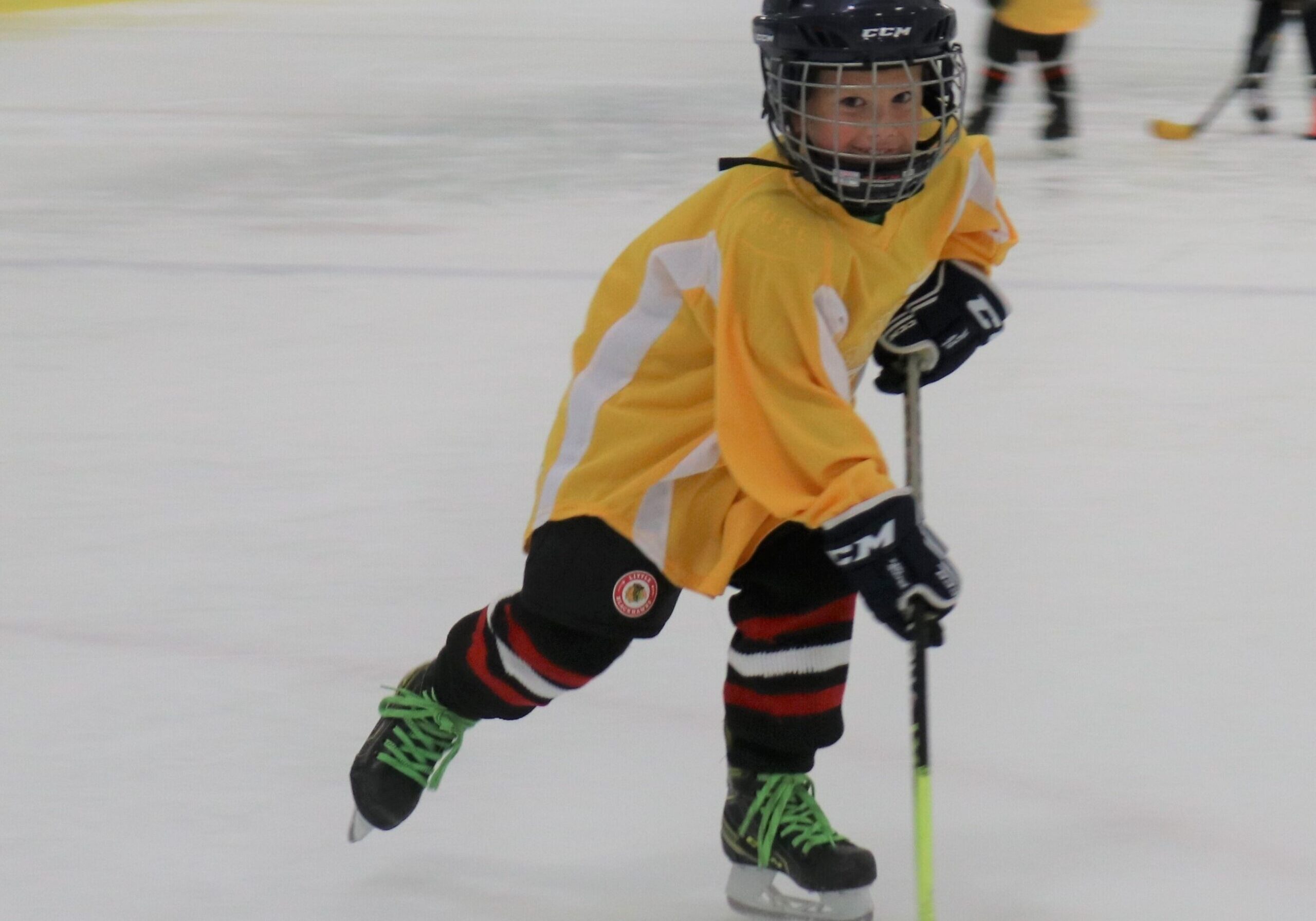 IMG CROP | Rocket Ice Arena | 630-679-1700